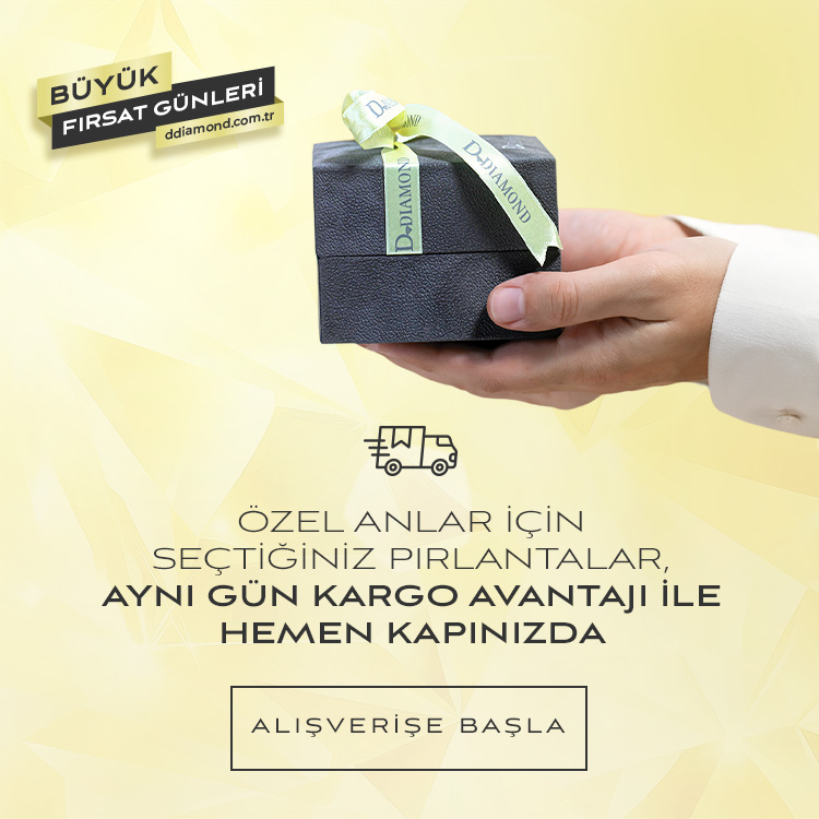 hızlı-gönderi