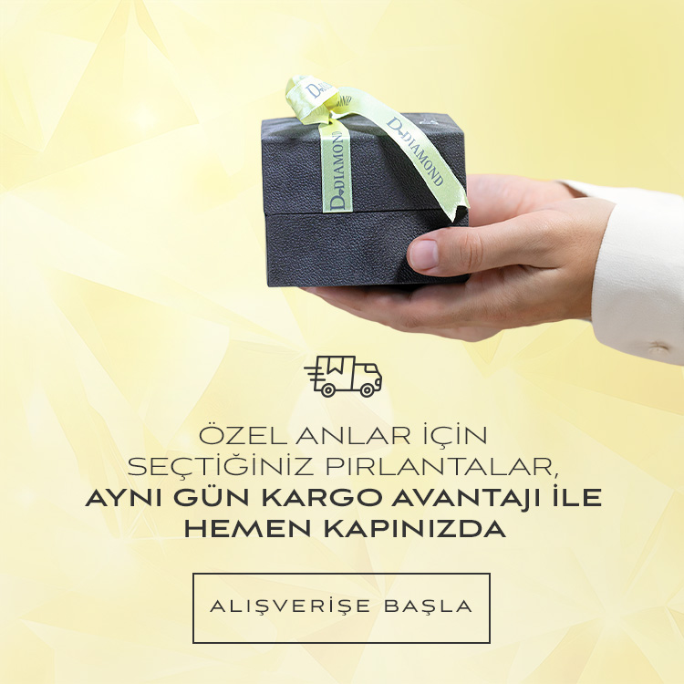 hızlı-gönderi