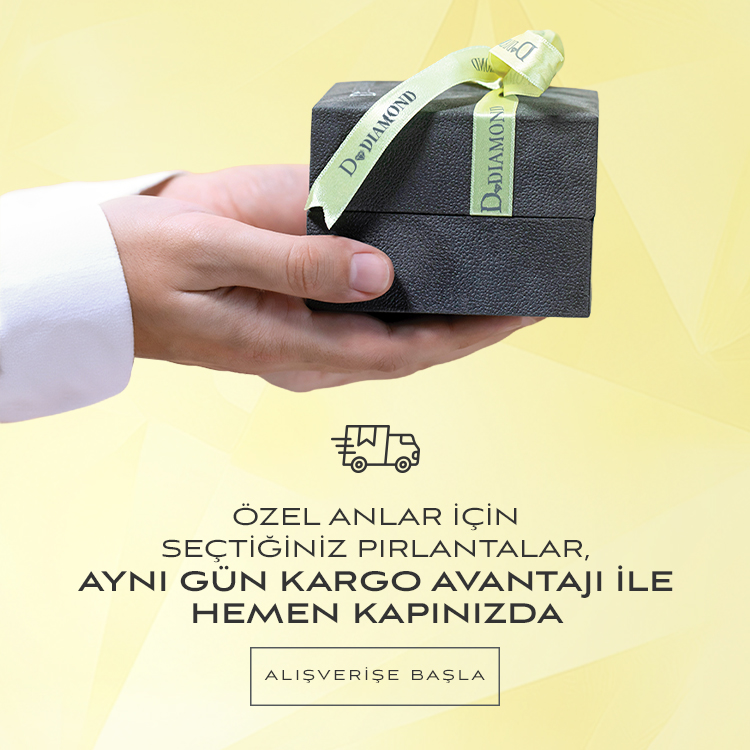 hızlı-gönderi
